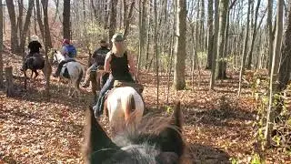 Riding at Waterloo Nov 7, 2020