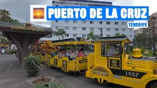 Puerto de la Cruz Tenerife 🇪🇸 Morning 🌅
