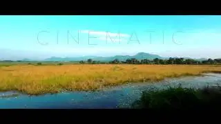 Lush Green India | Shot on Train Journey | Shot on Dji Action 2 | Cinematic Travel 🧳#incredibleindia