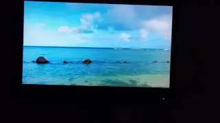 ANS Rewire- Update M.E./CFS working on recovery