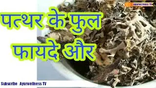 Benefits of Stone flower, Benefits of dagad phool, Benefits of Pathar ka phool