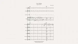 Love Theme From Romeo and Juliet - Orchestra Accompaniment