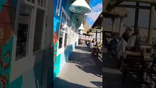 Bradenton Beach Fishing Pier -  Snook and Sheepshead on Fire 12/10/2025
