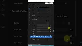 Export transparent MOV video in Adobe Premiere Pro