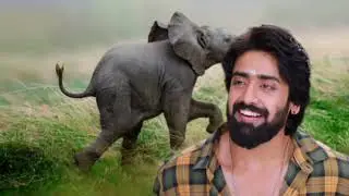 விஜயின் விபரீத முடிவு 