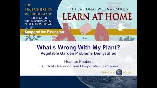 What's Wrong With My Plant? Vegetable Garden Problems Demystified