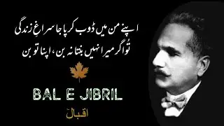 پھر چراغ لالہ سے روشن ہوئے کوہ و دمن__🍁 #iqbalpoetry #اقبال_لاهوری #balejibril