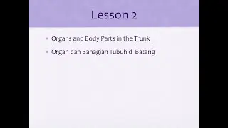 Common Medical Terms: English to Malay Lessons 2-4 (Part 2) 常用医学术语：英语到马来语第2-4课（第2部分）