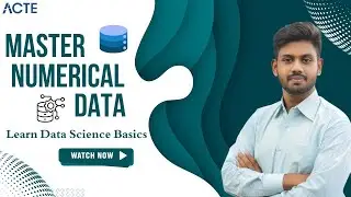 Numerical Data Type