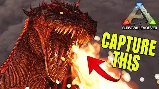 How to take EPIC SCREENSHOTS  |  ARK Photo Mode! (PC)  |  Ark: Survival Evolved Guides