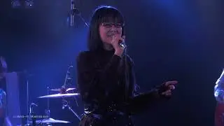 Forever Man - Eric Clapton - Cover by シン西乃谷一門