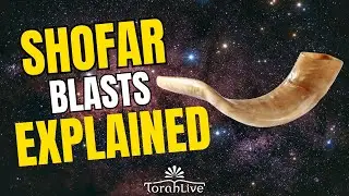 Understanding the Shofar Blasts on Rosh Hashanah
