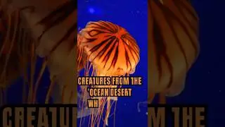 Leviathan Awakens? Mysterious Deep-Sea Creatures Are Rising! 🌊🐉 | Unexplained Ocean Secrets #deepsea