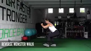 Reverse Monster Walk w/ Resistance Bands (Workout Demonstration Video by Noelle Benepe)