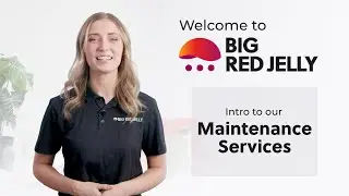 Keep Your Website Running Like New | Intro to Big Red Jelly's Maintenance Services