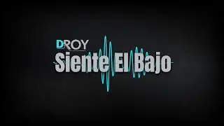 Dj Roy - Siente El Bajo (Official Video Visualizer)