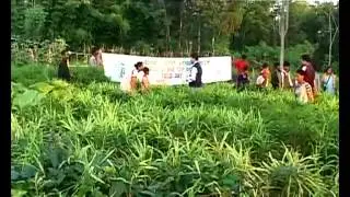 A C A B C MARATHI