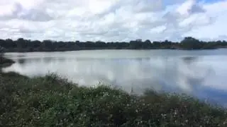 Pelican Island National  wildlife Refuge