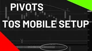 How to Setup Persons Pivots on TOS Mobile