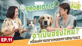 Slave Awakening EP.11 | Are Probiotics Really Necessary? Or Is It Just Dog and Cat Marketing?