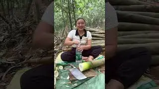 Swift Bamboo Shoot Harvest: Simple Tips, Freshness Kept 竹笋快速收获：简易窍门，鲜嫩保留