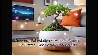 Magnetic Levitating Air Bonsai Pot | Floating Flower Planter - Stunning Home Decor Without Plants!