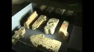 Valdovų legendos atgyja Vilniaus arkikatedros požemiuose