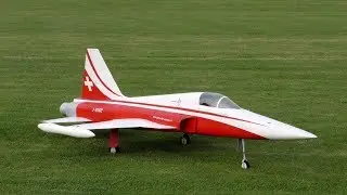 BIG RC F-5 STUMAX EDF - E-Jet Meeting Effeln 2017