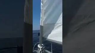 Sunshine vibes and Sunday Sails #sailboat #florida #sailingfamily #boat #sailing #letsgosailing