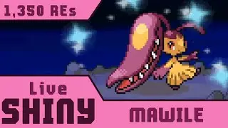 Live Shiny Mawile in 1,350 REs! &bull; Pokemon Platinum