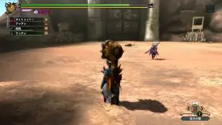 MH3G 「狩人の頂」 狩猟笛×太刀 5分針