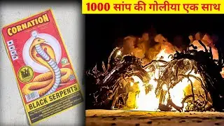 1000 सांप की गोलीयो को एक साथ जलादे तब क्या होगा 😳 1000 black snake at once | diwali experiment