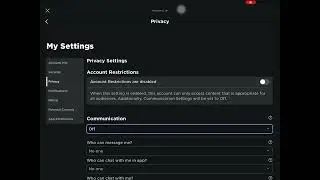 Guys how to put voice chat