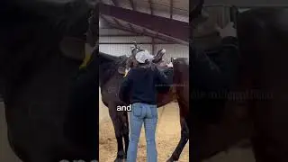 Riding Routine With 3 Horses! #equestrian #westernriding