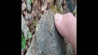 Rockhounding Clip | County Coal Mine | Cahaba River
