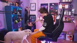 El Encantador de Perros...