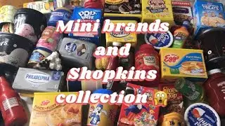 The Ultimate mini brands and Shopkins collection￼