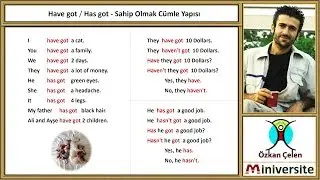 12. Have got / Has Got  - Sahip Olmak Cümle Yapısı