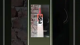 dsc the bull 31 model  David Warner model bat 🏏🏏🏏    ##viral ##cricket  #ytshort  #short