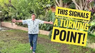 The Day I Took My Backyard Back. Trampoline Gone, Space Reclaimed!