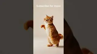 Lo-Fi So Smooth It Moves You #shorts #cat