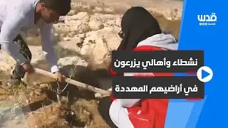 نشطاء واهالي قرية خلة الضبع المهددة بالهدم يزرعون الزيتون في اراضيهم بمسافر يطا