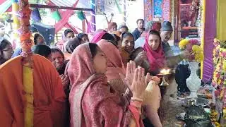 आरती श्री बांके बिहारी जी की💥पूज्य संत श्री जोगिंदर शास्त्री जी महाराज#viral#live#भजन #champashastri