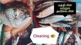 Fish cleaning for Mathi fish and ayeelai fish cleaning 🐠🐠🐠 from My Home.