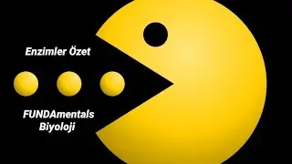 Enzimler Özet