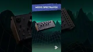 Moog Spectravox Vocoder und modularer Synthesizer