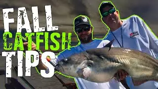 Fall Catfish - Top 11 Tips For Fall Catfishing