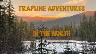 Trapline Adventures: Improve Your Catch Rate #trapping #conibeartrap
