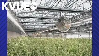 75,000-square-foot medical cannabis facility opens in Bastrop