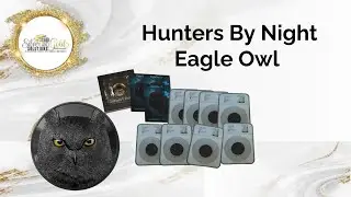What Is The Obsidian Black Proof Eagle Owl Coin 5 oz